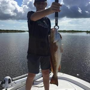 Meet your Posher, Beau